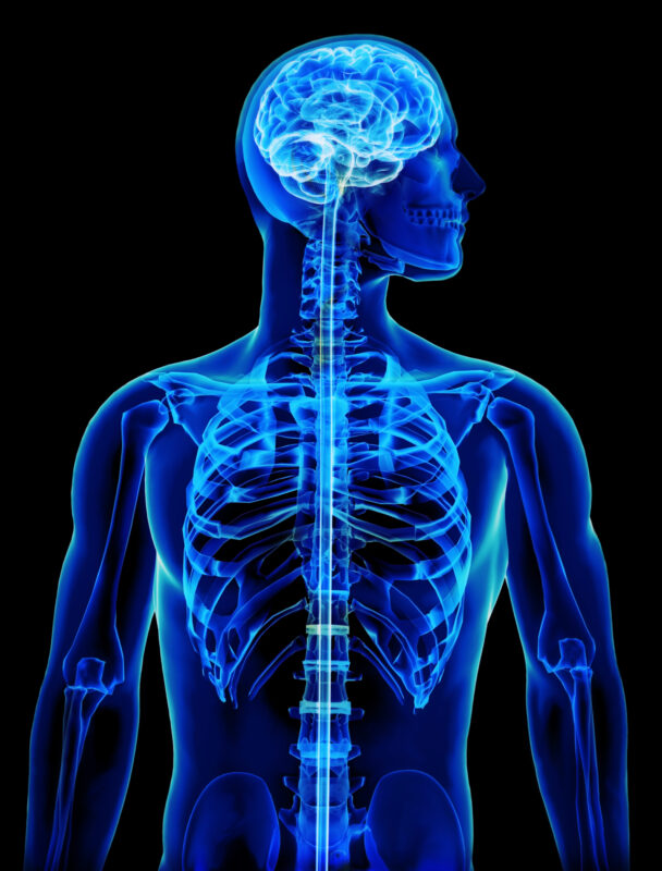 Spinal Cord Injury Attorney in Mt. Pleasant, SC | Free Consultations